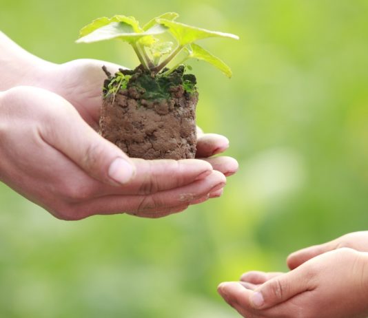 Omid Entrepreneurship Fund