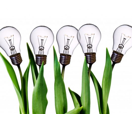 International Companies to Invest in Iran's Newly Opened ICT Park